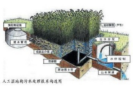 人工濕地污水處理構造圖-權鼎環保