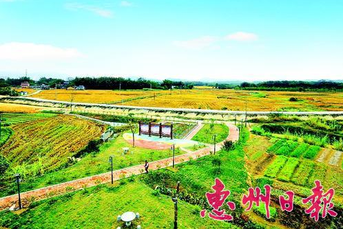 生活污水處理設備_污水處理設備_污水處理設廠家-權鼎環保 生活污水處理設備_污水處理設備_污水處理設廠家-權鼎環保